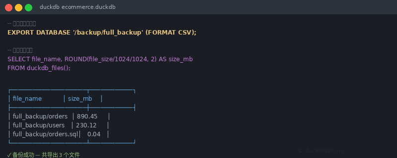 DuckDB EXPORT 终端操作示例